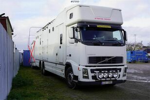 Volvo FH 400 6*2 Horse transport with room for 9 horses horse transporter
