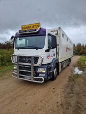 MAN TGS 26.400 6X2-2LL livestock truck