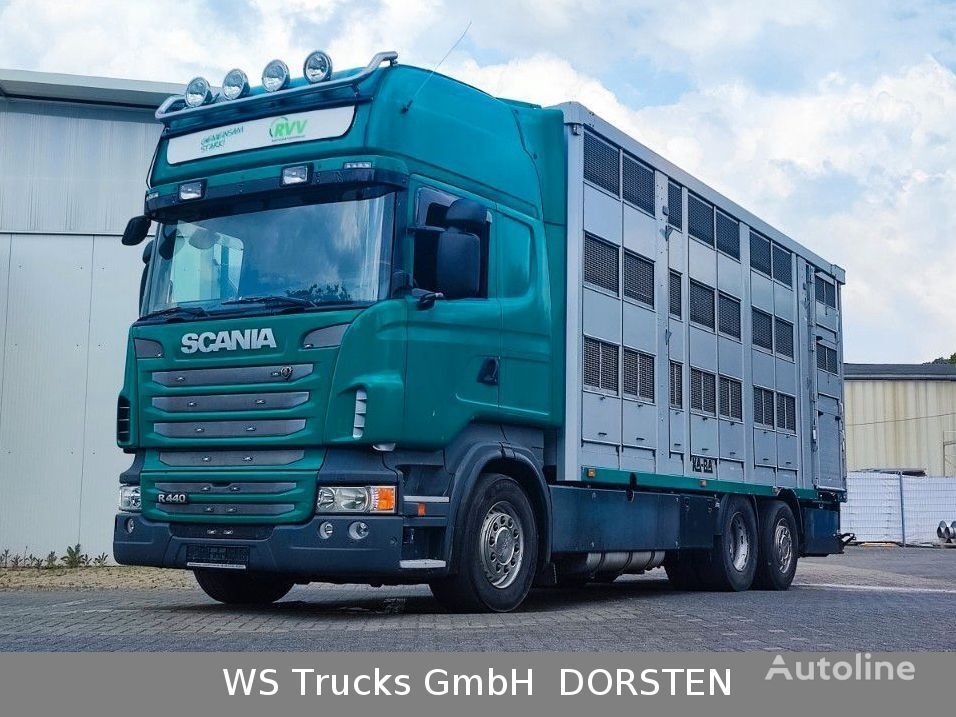 Scania R 440  livestock truck