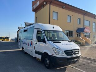 Mercedes-Benz 519 CDI school bus