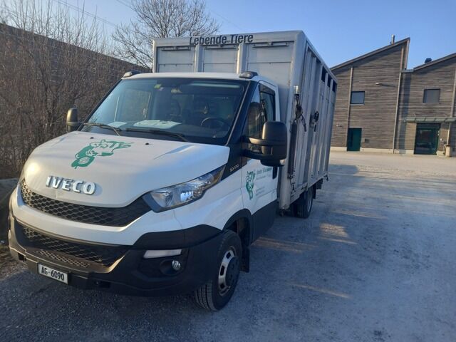 IVECO Daily 50C17 Állatszállító livestock truck