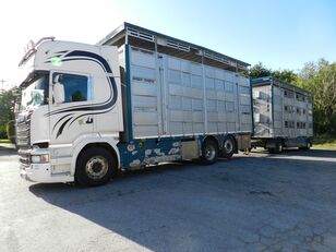 SCANIA R730 for pigs or bovines livestock truck + livestock trailer