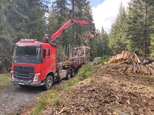 VOLVO FH500 timber truck